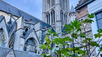 Views around Ghent, Belgium