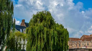Views around Ghent, Belgium