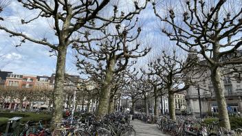 Ghent-bikes along a river